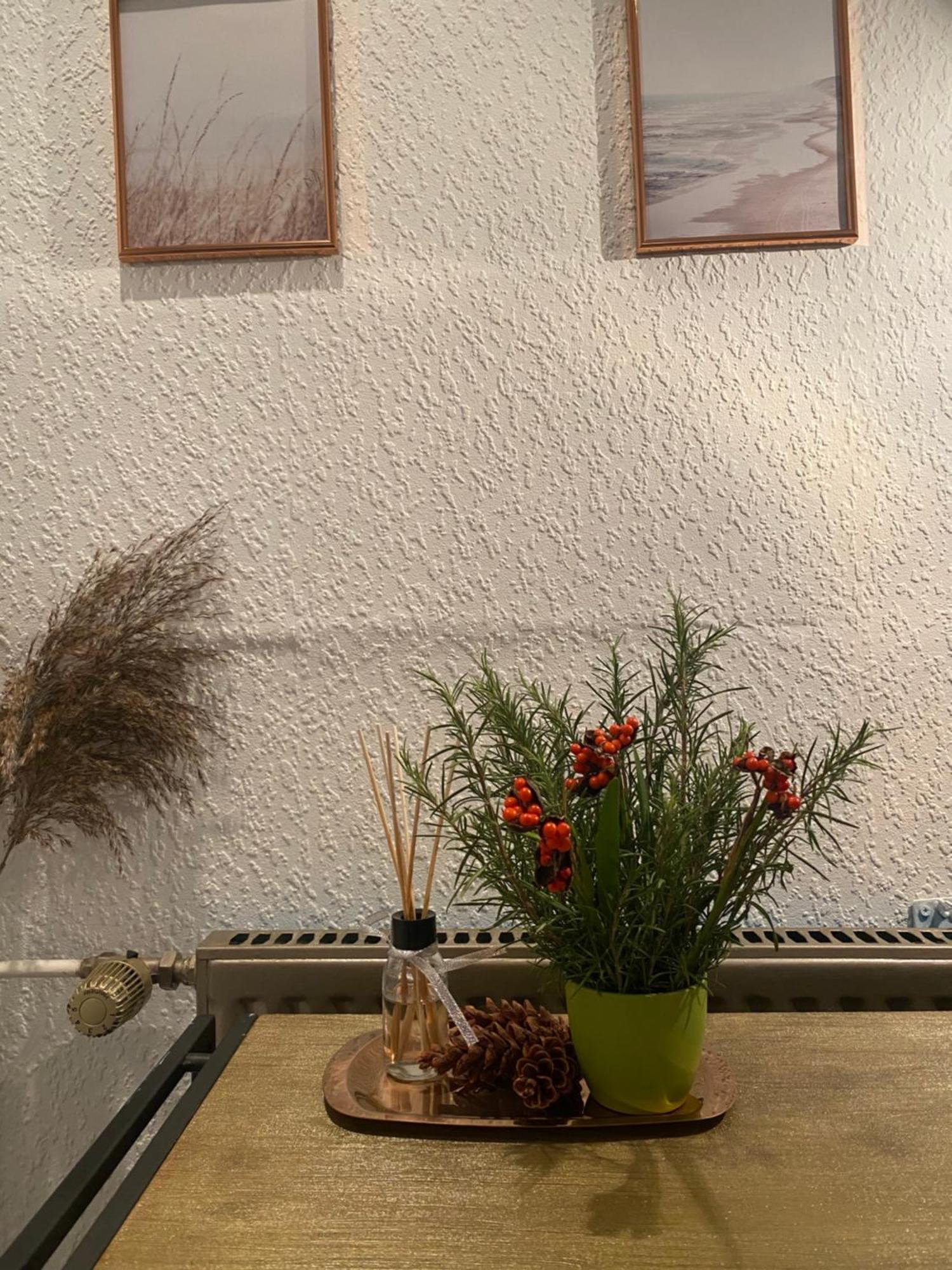 Alte Schmiede In Der Altstadt Von סנט גורסהאוזן מראה חיצוני תמונה